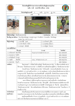 10 แบบนำเสนอคุณลักษณะ -มือหยิบทะลายปาล์ม