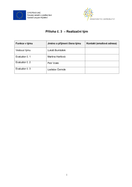 Př&iacute;loha č. 3 &ndash; Realizačn&iacute; t&yacute;m
