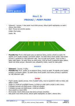 pony-games cz Hra č. 5: PROVAZ / PONY PAIRS