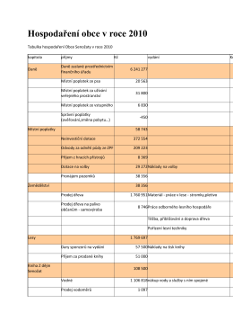 Hospodaření obce v roce 2010