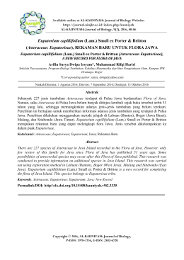 Eupatorium capillifolium - E