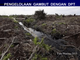 pengelolaan gambut dengan dpt