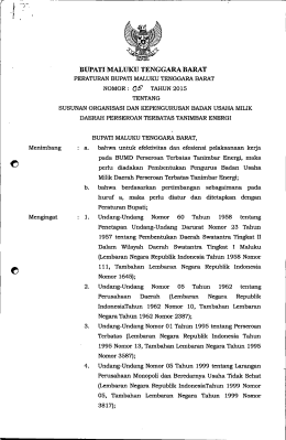 NewSoft PDF Module - BPK RI Perwakilan Provinsi Maluku