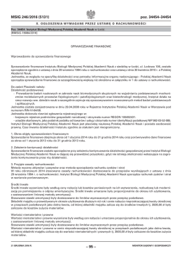 Sprawozdanie finansowe  - Internetowy Monitor Sądowy i