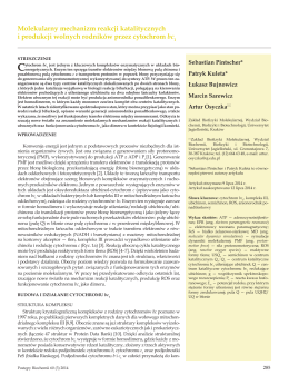 [Molecular mechanisms of catalytic reactions and superoxide