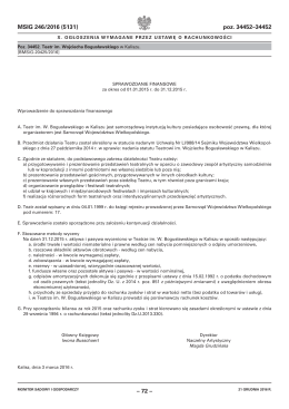 Sprawozdanie finansowe  - Internetowy Monitor Sądowy i
