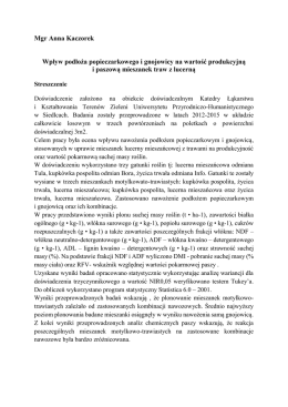 Streszczenie rozprawy doktorskiej