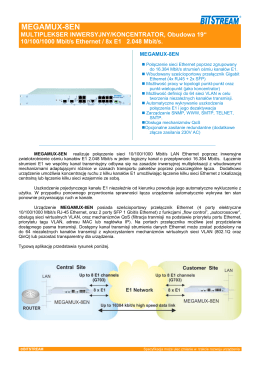 megamux-8en - BITSTREAM Sp. z oo