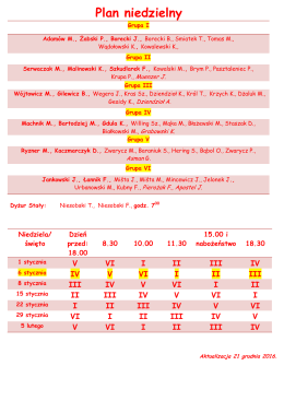 Plan niedzielny