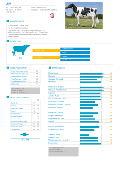 Fiche taureau : JIM