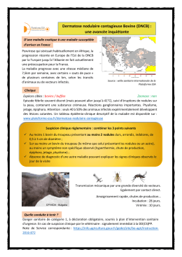 File - Plateforme ESA