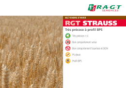 rgt strauss - RAGT Semences