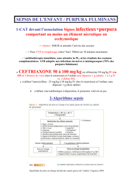 Purpura fulminans - sepsis de l`enfant