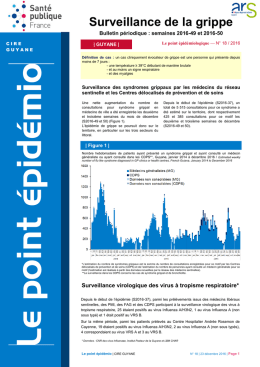 Point au 23 décembre 2016 - InVS