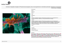 Interaction Aspergillus fumigatus et Pseudomonas