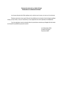 TRAVAUX EN LIEN AVEC LA FIBRE OPTIQUE
