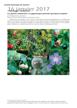 Les plantes m&eacute;dicinales: un gigantesque potentiel (presque) inexplor&eacute;