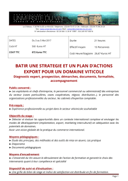 Strat&eacute;gie et pratique export
