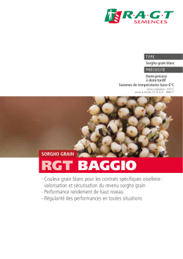 rgt baggio - RAGT Semences