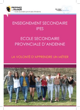 D&eacute;couvrez notre &eacute;cole en t&eacute;l&eacute;chargeant notre brochure (format PDF).