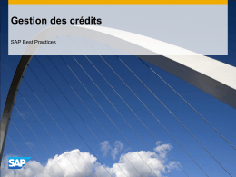 Gestion des crédits - SAP Best Practices