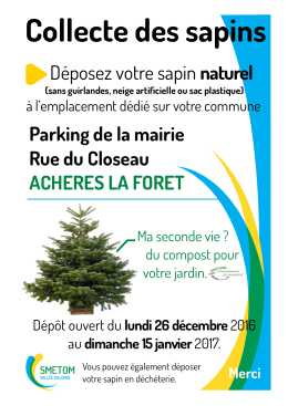 Collecte des sapins