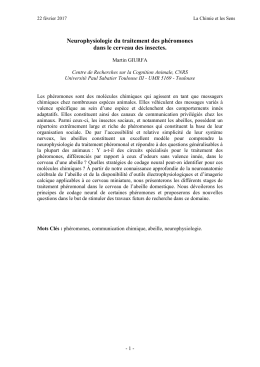 Neurophysiologie du traitement des phéromones dans le cerveau