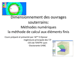 Milieu continu : &eacute;l&eacute;ments finis, diff&eacute;rences finies