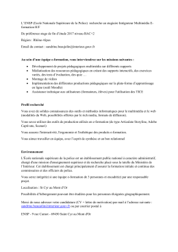 ENSP_Stage_integrateur_multimedia (pdf