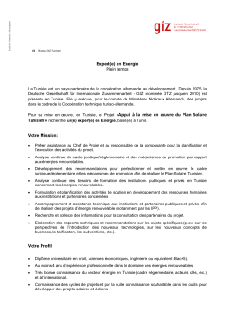 Expert (e) en Energie