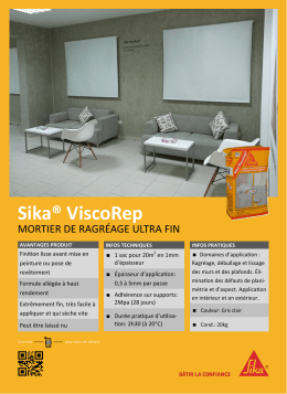 Fiche Marketing: Sika&reg; ViscoRep