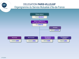 Organigramme IFSeM - D&eacute;l&eacute;gation Paris