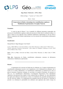 Mod&eacute;lisation Exp&eacute;rimentale et Exemples Naturels.