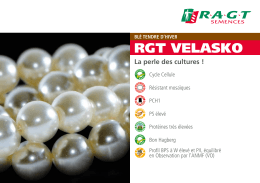 rgt velasko - RAGT Semences