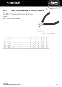 Fiche produit 540