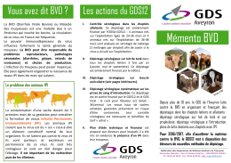 BVD - fodsa