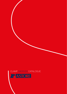 catalogo staffe - AVF Astore Valves and Fittings srl