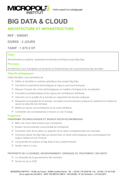Big Data - Micropole Institut