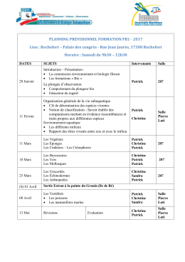 PLANNING PREVISIONNEL FORMATION PB1