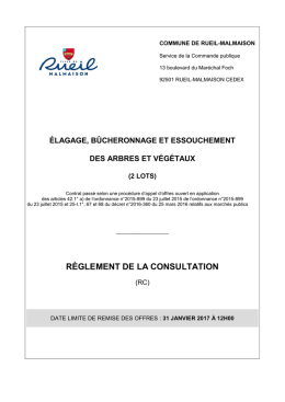 règlement de la consultation