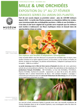 Communiqué de presse (pdf, 645.55 Ko)