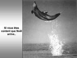 Bon-Reveillon - Le blog de Radiblog