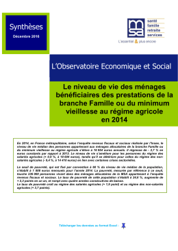 Le niveau de vie des ménages bénéficiaires des prestations