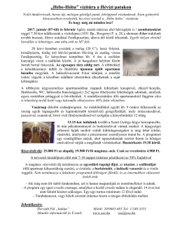„Hébe-Hóba” vízitúra a Hévízi patakon