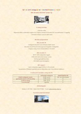 2 &eacute;j 12.30-01.01. - J&aacute;vork&uacute;t &Eacute;tterem &eacute;s Panzi&oacute;