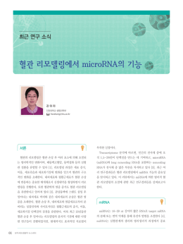 혈관 리모델링에서 microRNA의 기능
