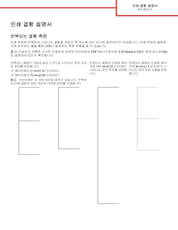 인쇄 결함 설명서