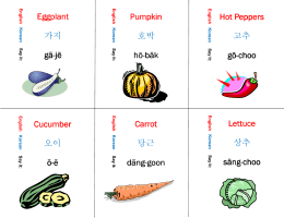 korean flash cards - veggies