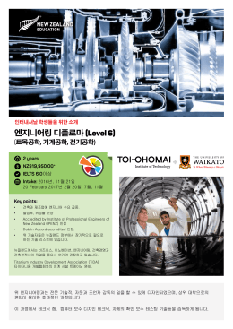 엔지니어링 디플로마 (Level 6)