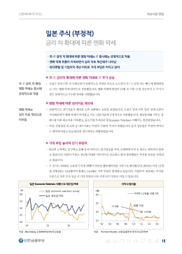 일본 주식 (부정적)